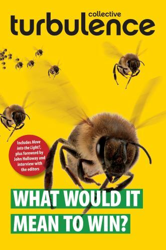 What Would It Mean to Win? (Pm Press) Turbulence Collective paperback Used – Li
