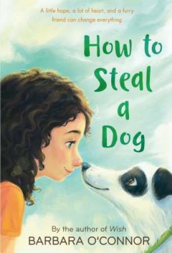 How to Steal a Dog: A Novel – Paperback By O’Connor, Barbara – ACCEPTABLE