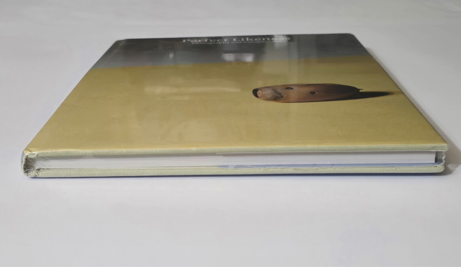 PERFECT LIKENESS SEALED WILLIAM EGGLESTON PHOTOGRAPHY COMPOSITION ART PHOTO BOOK