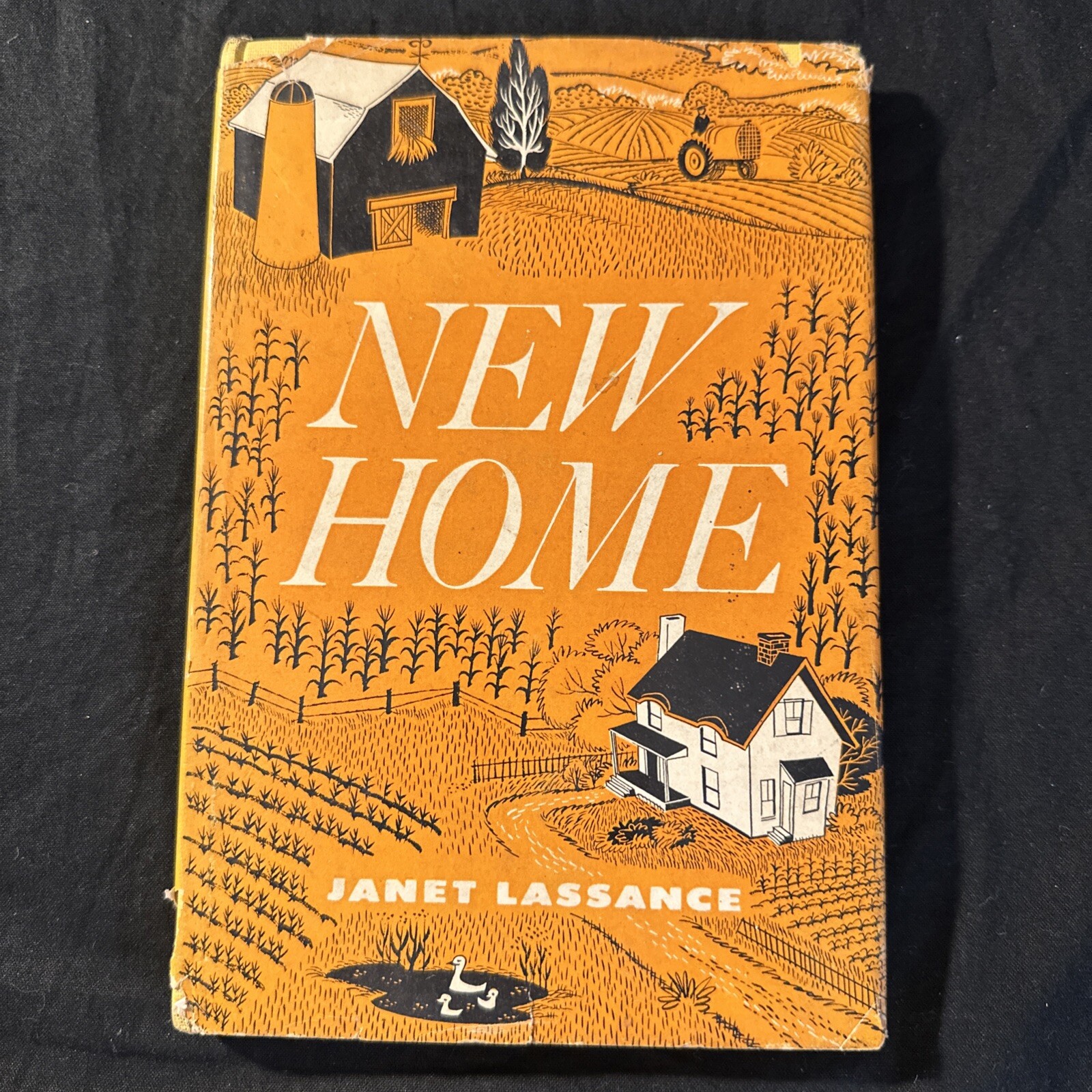 New Home By Janet Lassance Crystal Springs Farm Iowa True story Rare! Only One✨