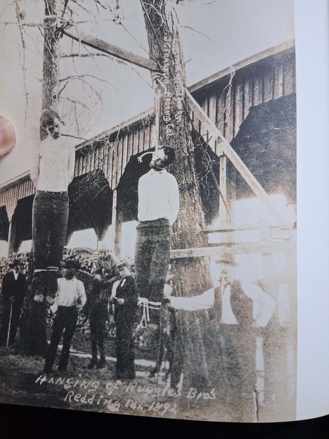 Without Sanctuary: Lynching Photography In America by James Allen, (2003). ÷