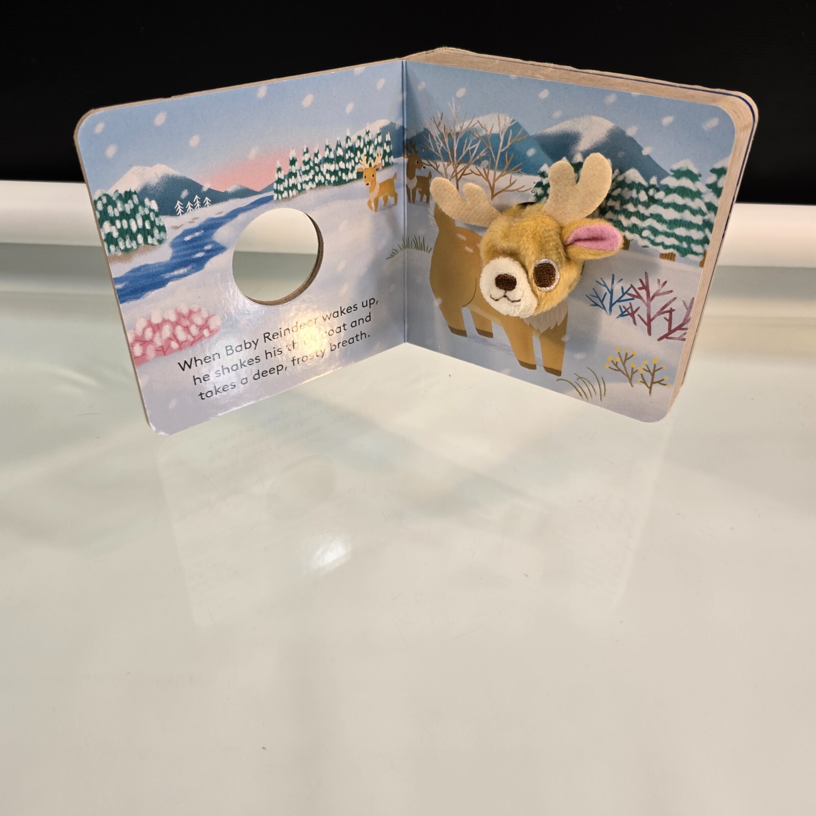 Never Touch a Shark! Touch Feel Board Book & Baby Reindeer Finger Puppet Book