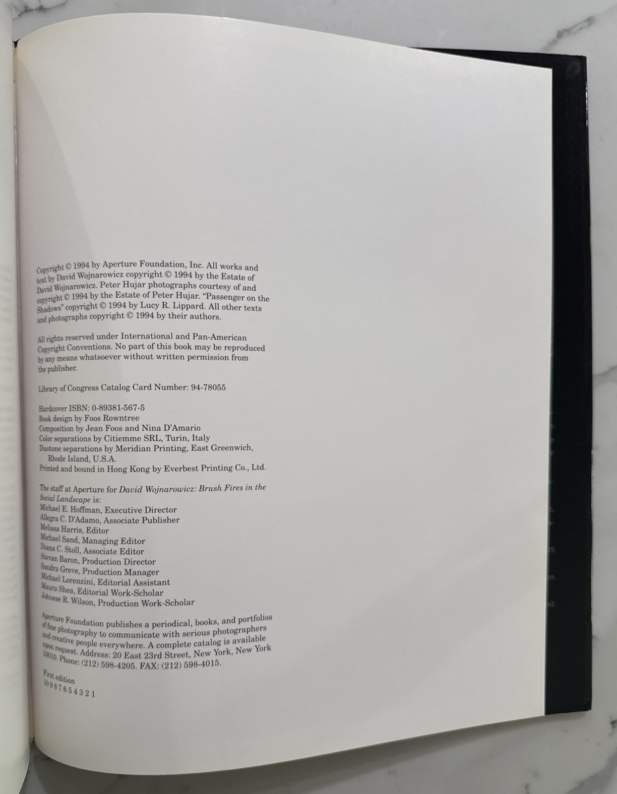 David Wojnarowicz : Brushfires in the Social Landscape (Hardcover, 1st/1st 2002)