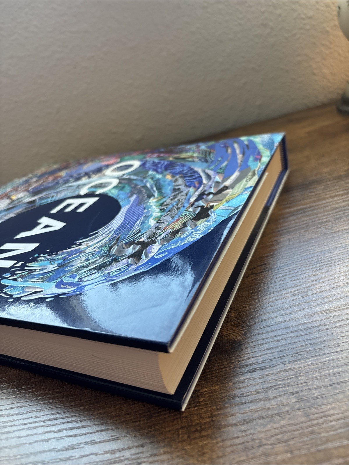 Ocean : Exploring the Marine World by Phaidon Editors (2022, Hardcover)
