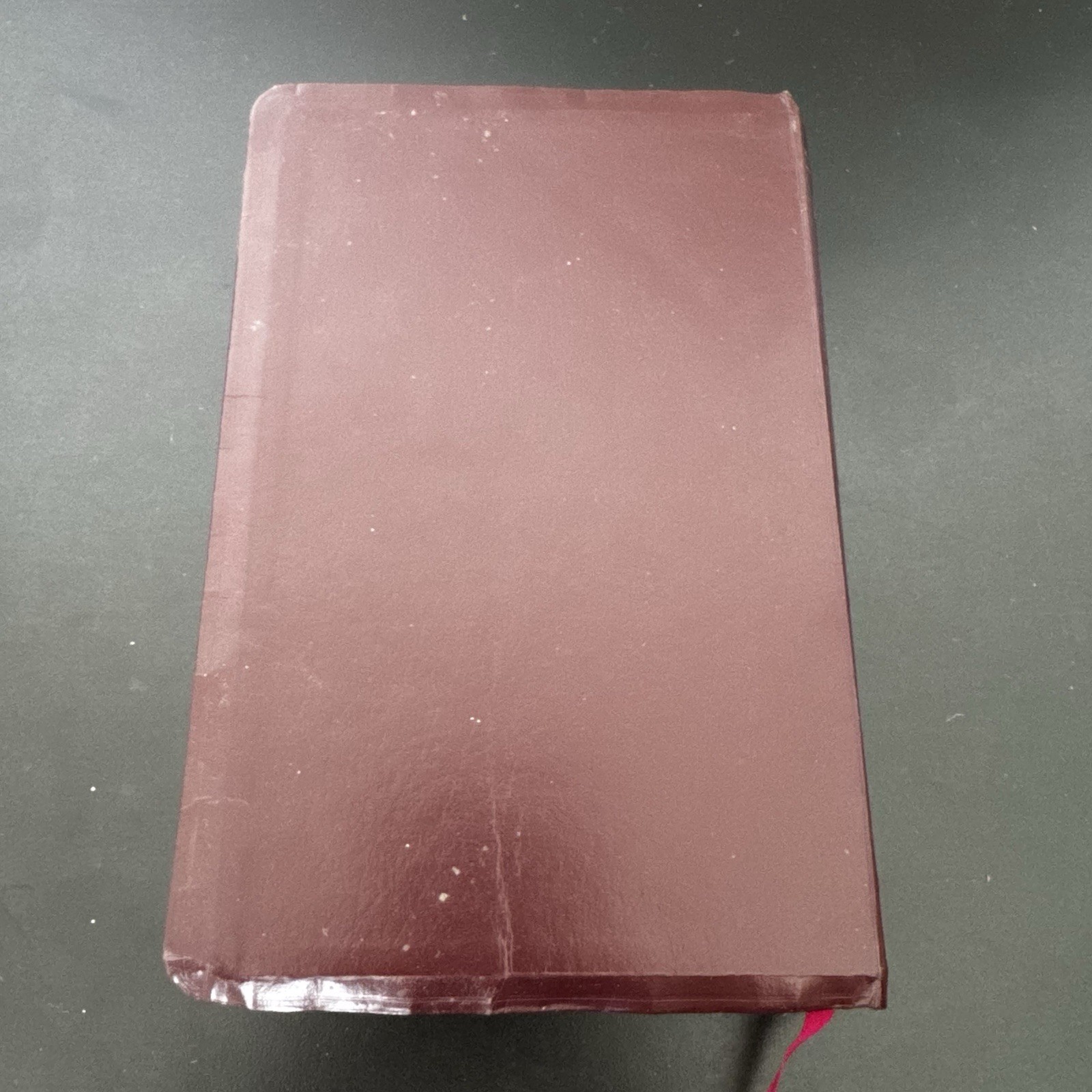 The Rainbow Study Bible, Bold Letter Edition – King James Version 1992 Burgundy