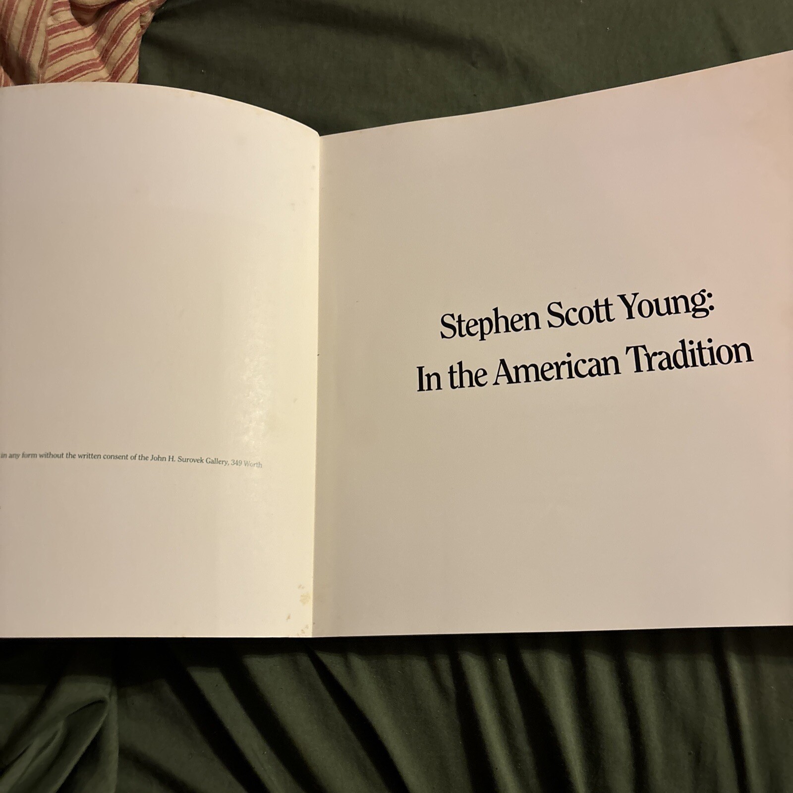 stephen scott young In The American Tradition 1993 Catalogue Of Art Soft Cover