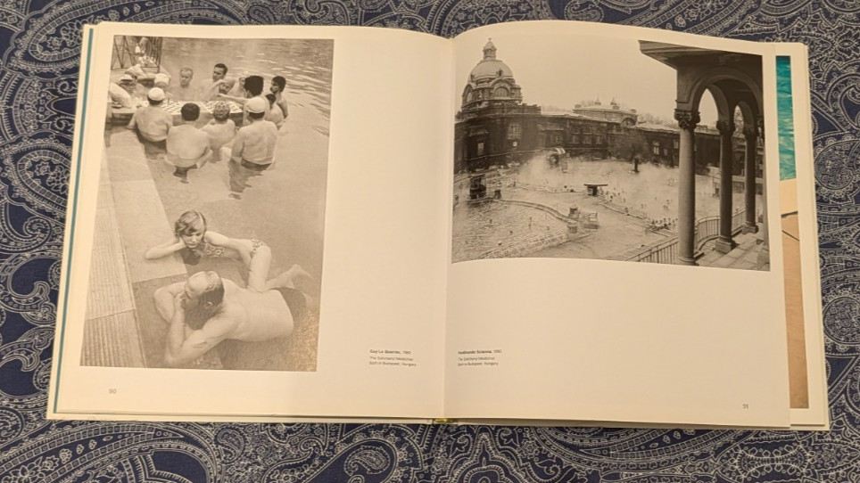 The Swimming Pool in Photography,Francis Hodgson, 2018 First Ed, Hatje Canz