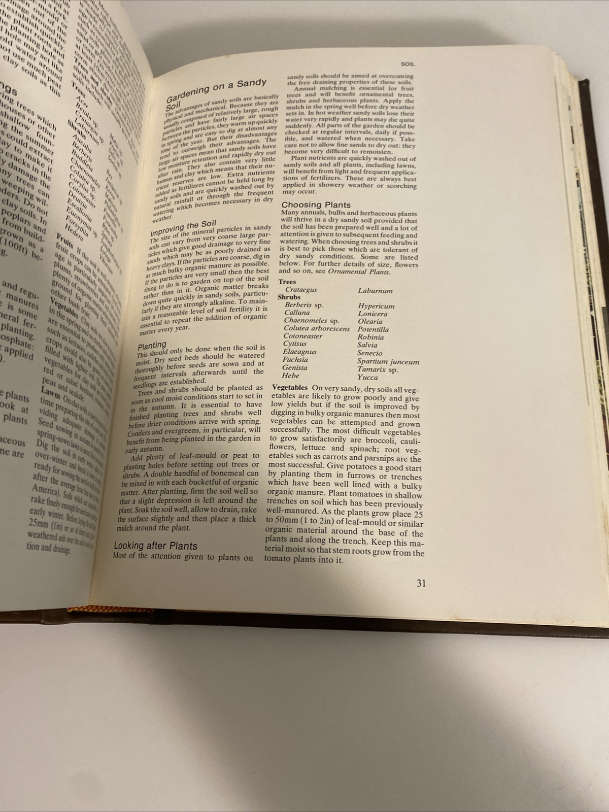 1977 Practical Gardening Encyclopedia Roy Hay abz