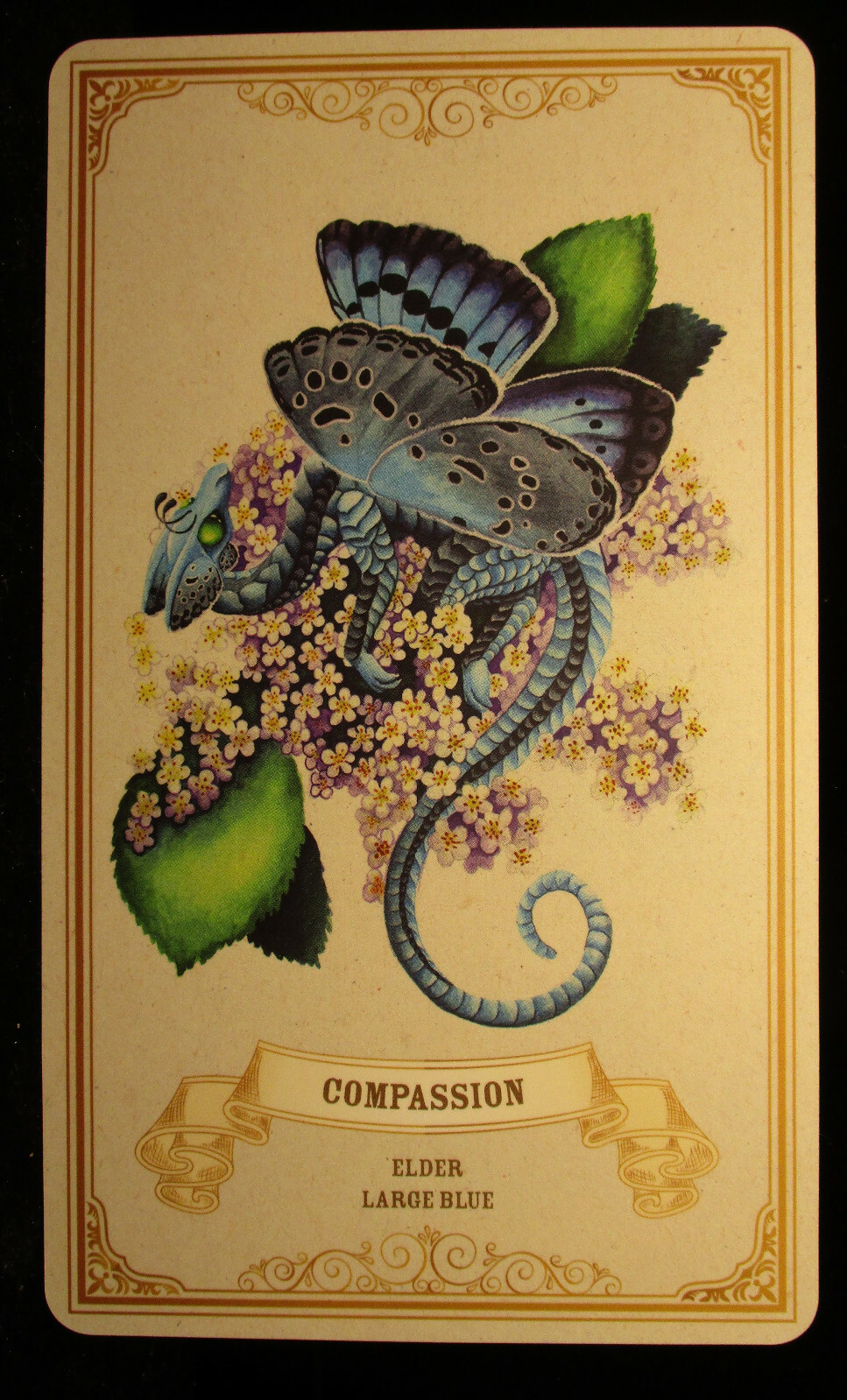 SEALED NEW ~ ENCHANTED BLOSSOMS CARDS & BOOK ORACLE DRAGONS BUTTERFLIES FLOWERS