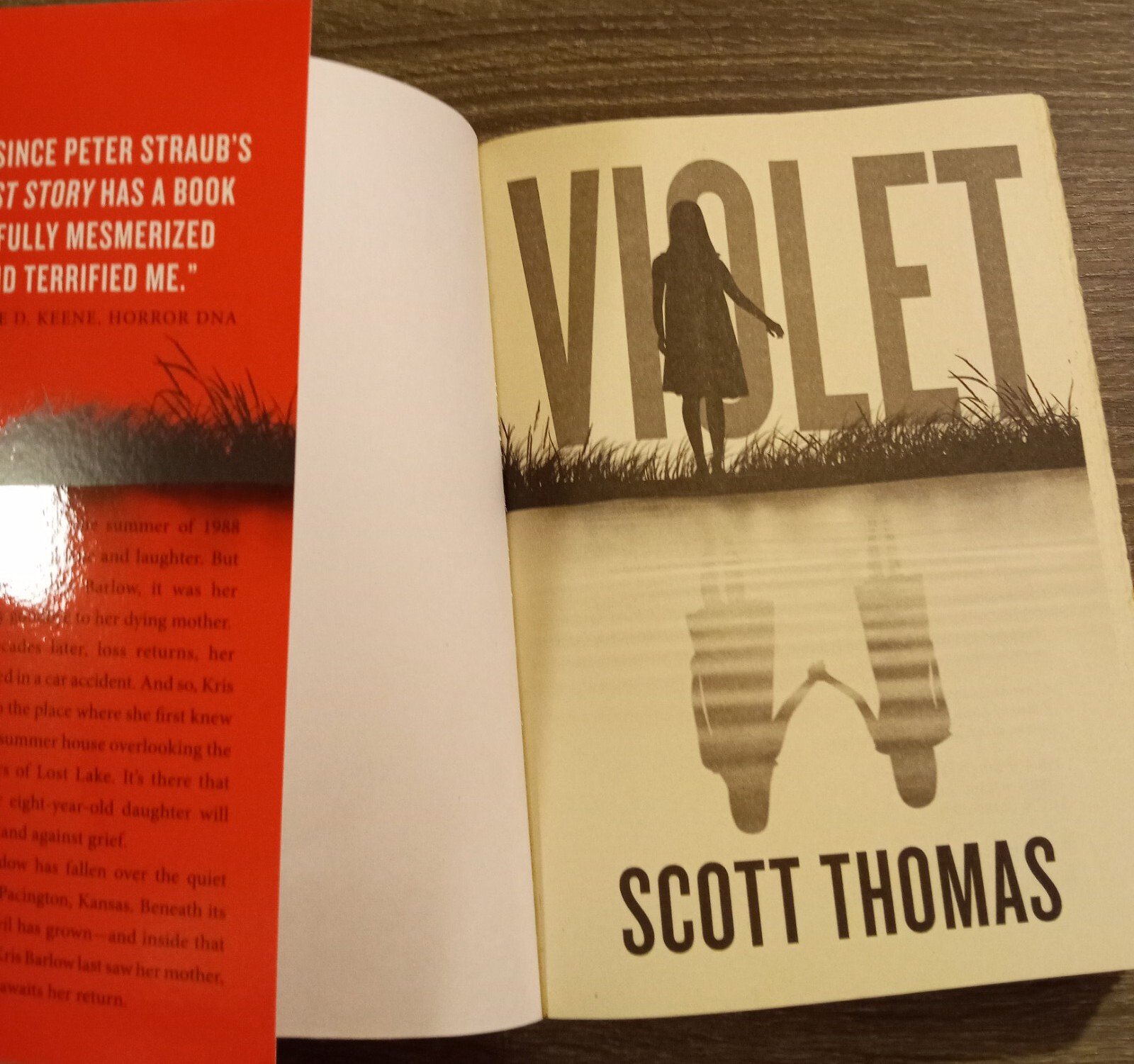 Violet by Scott Thomas, Trade Paperback Original, 1st Edition Very Good