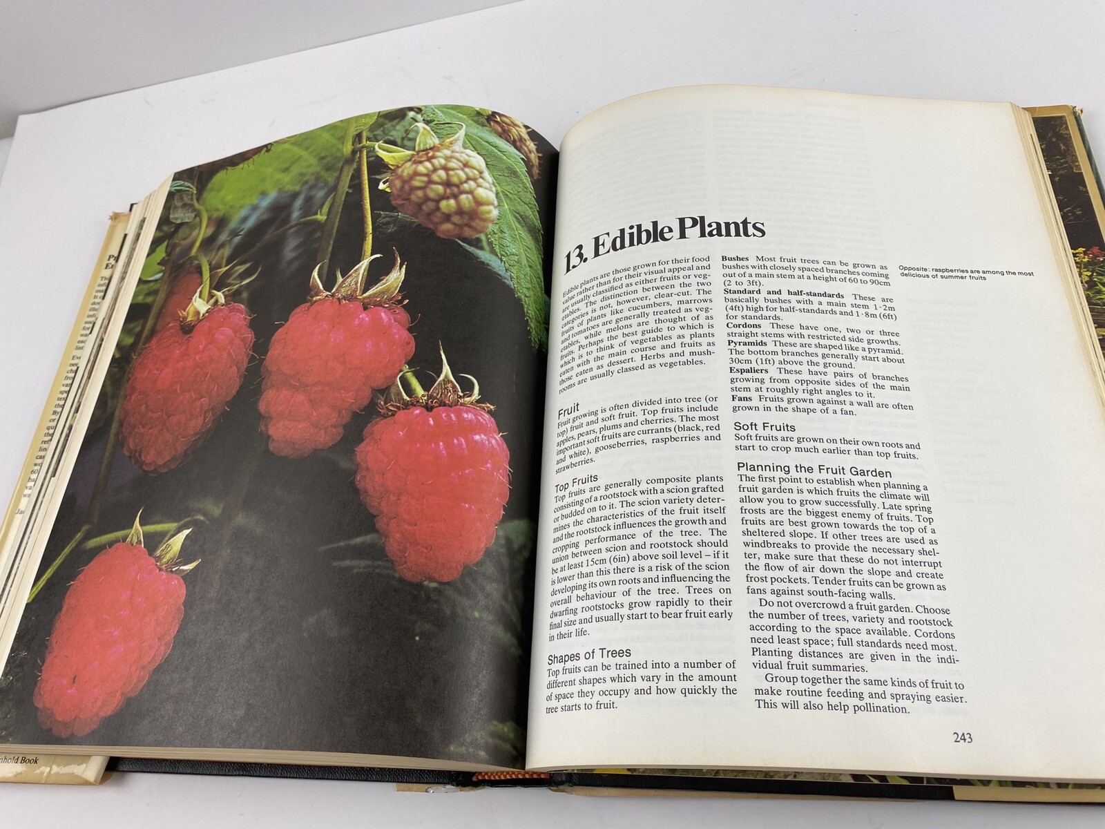 Practical Gardening Encyclopedia by Roy Hay – 1977 Hardcover