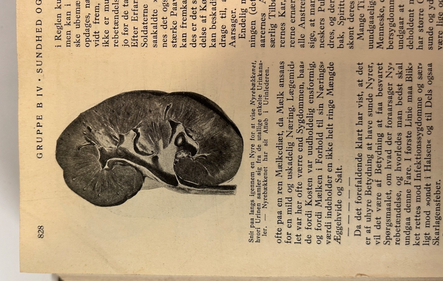 FREM Book 828 pages, 1925