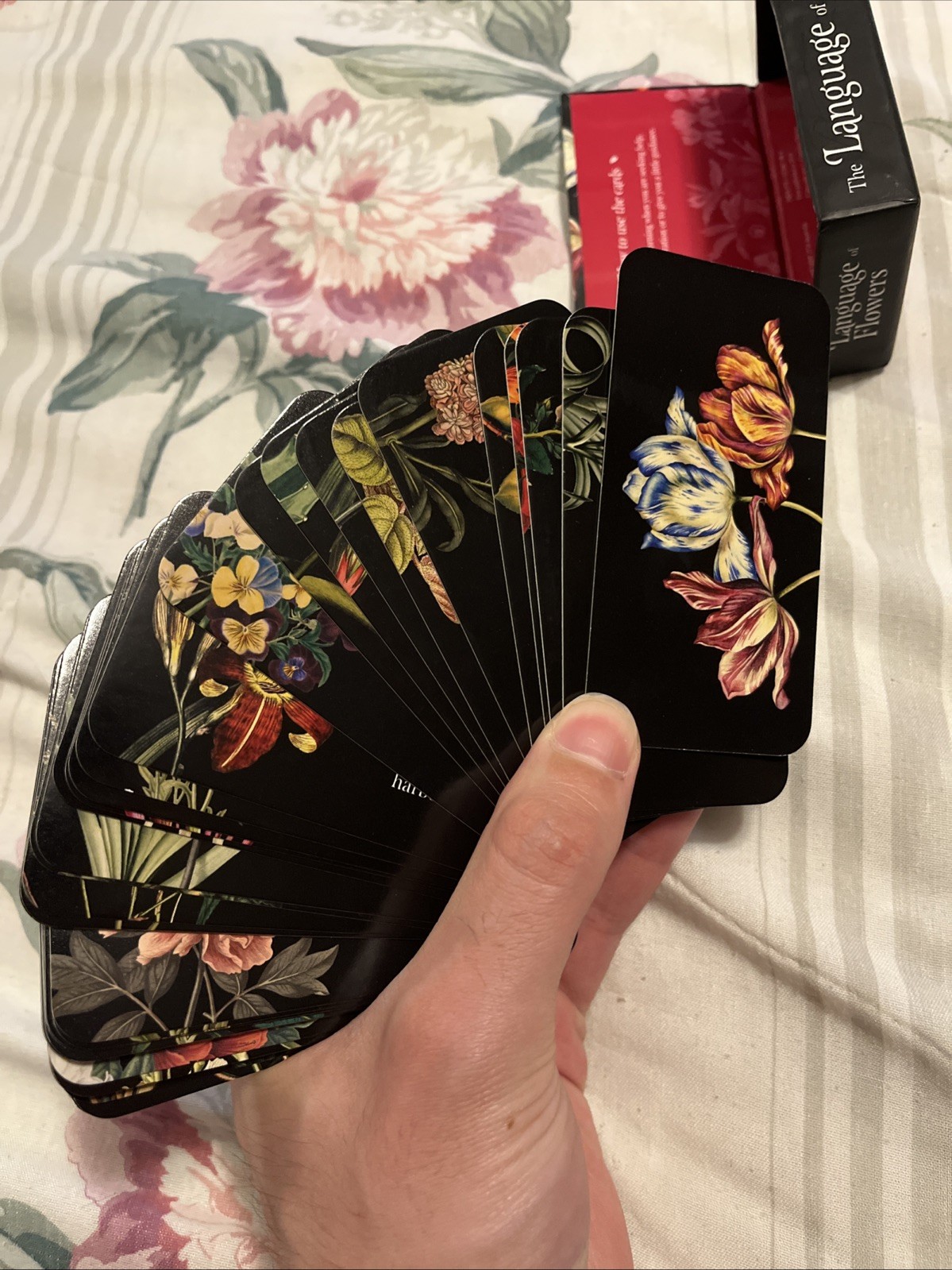 Language of Flowers | Loving Support from the Wisdom of Nature | Oracle Cards