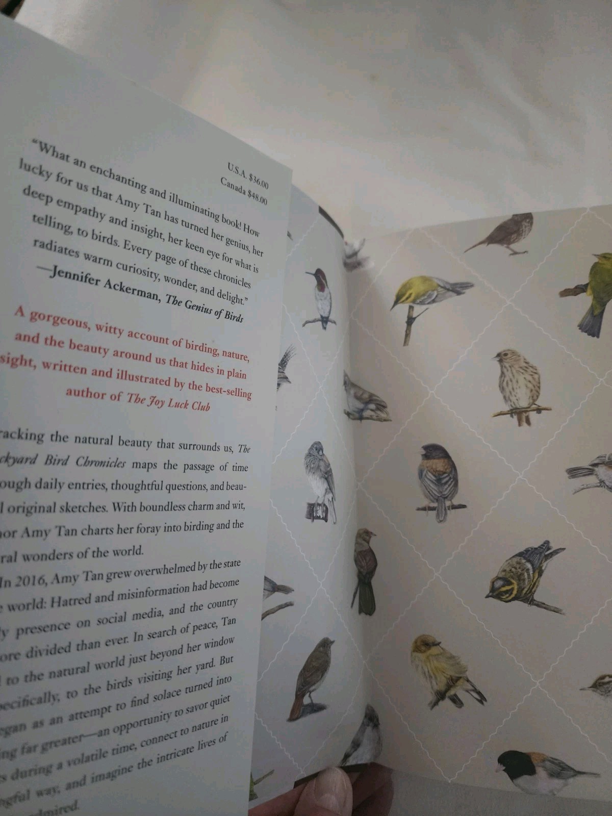 Backyard Bird Chronicles by Amy Tan (2024, Book, Other)