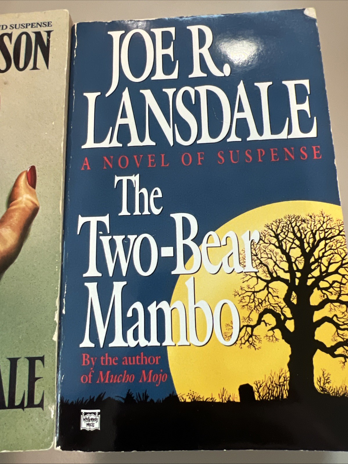 Joe R. Lansdale Hap & Leonard Lot Savage Season + The Two-Bear Mambo Paperback