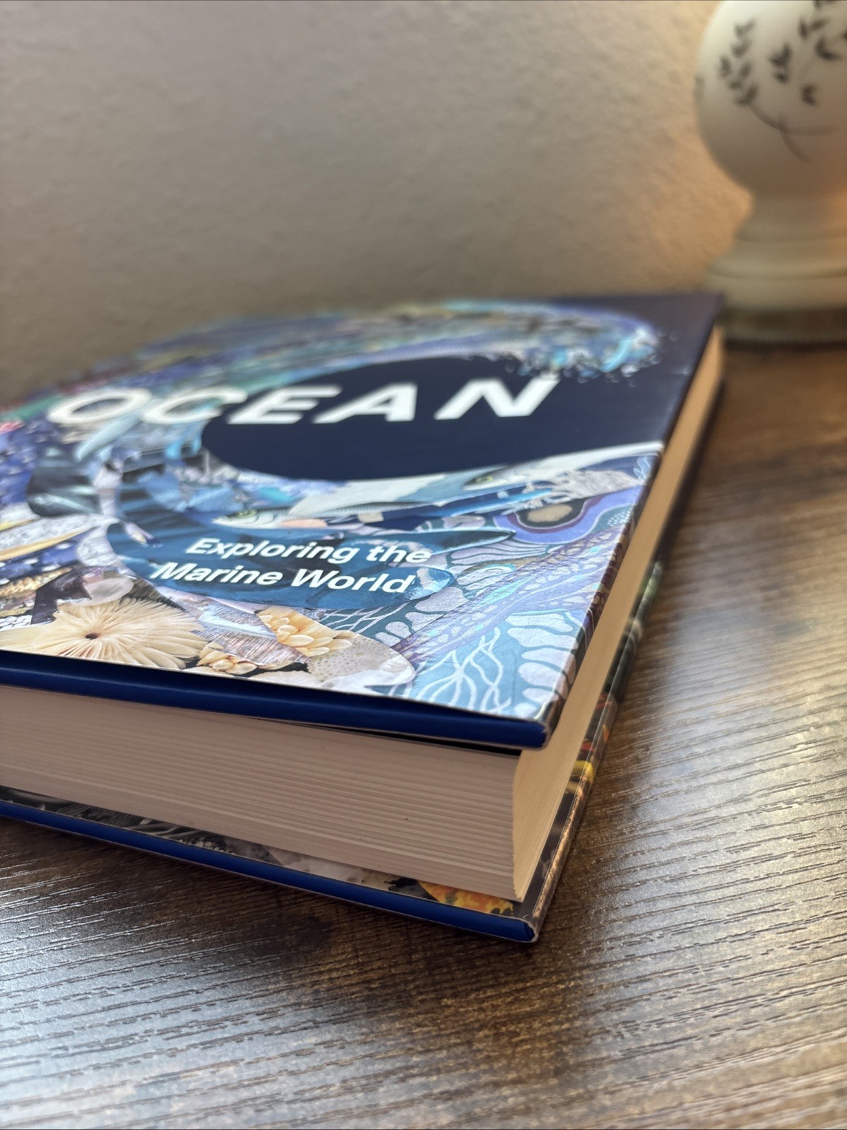 Ocean : Exploring the Marine World by Phaidon Editors (2022, Hardcover)