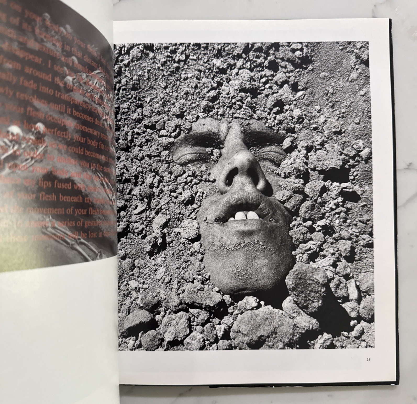 David Wojnarowicz : Brushfires in the Social Landscape (Hardcover, 1st/1st 2002)