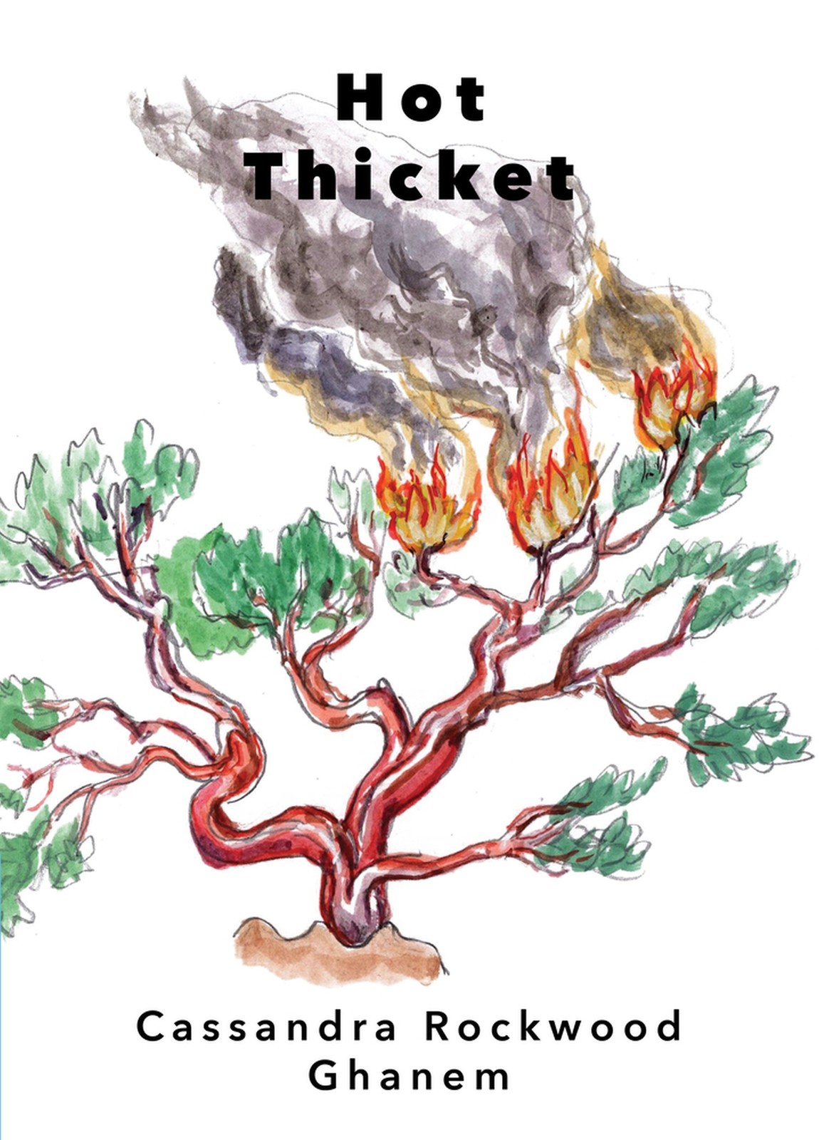 Cassandra Rockwood Ghanem Hot Thicket (Paperback)