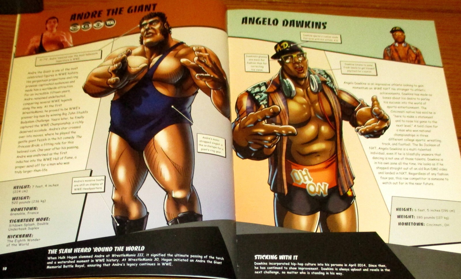2015 WWE Ultimate Superstar Guide Softcover Book 207 Pages