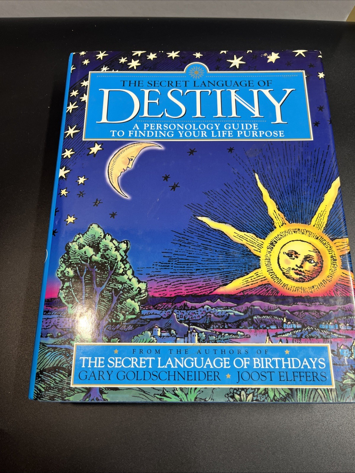 The Secret Language of Destiny by Goldschneider & Elffers (Hardcover)