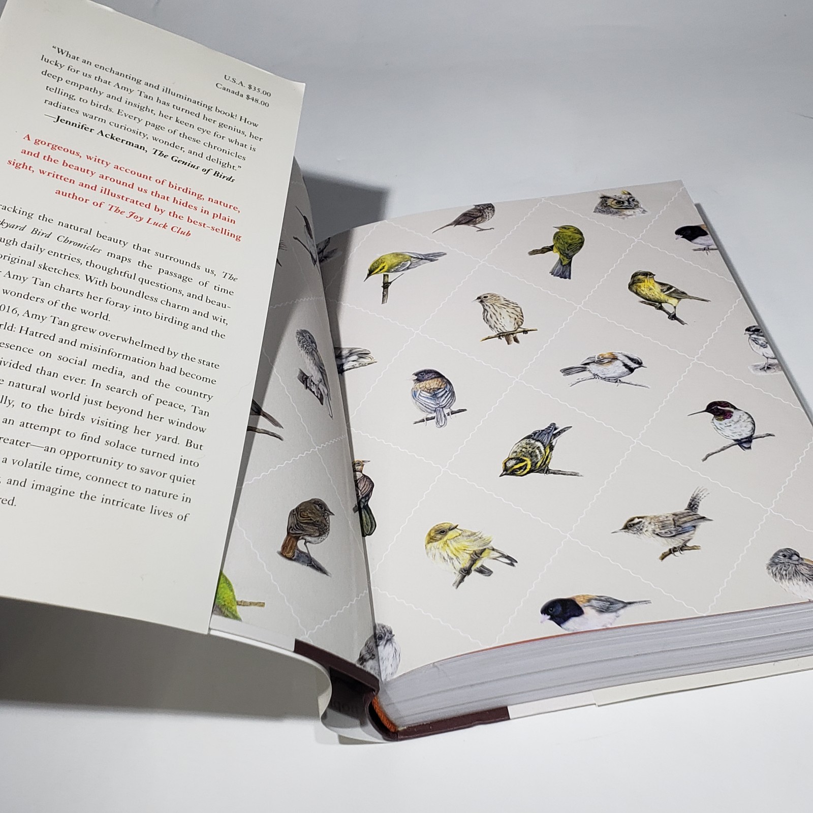 The Backyard Bird Chronicles Amy Tan Dust Jacket