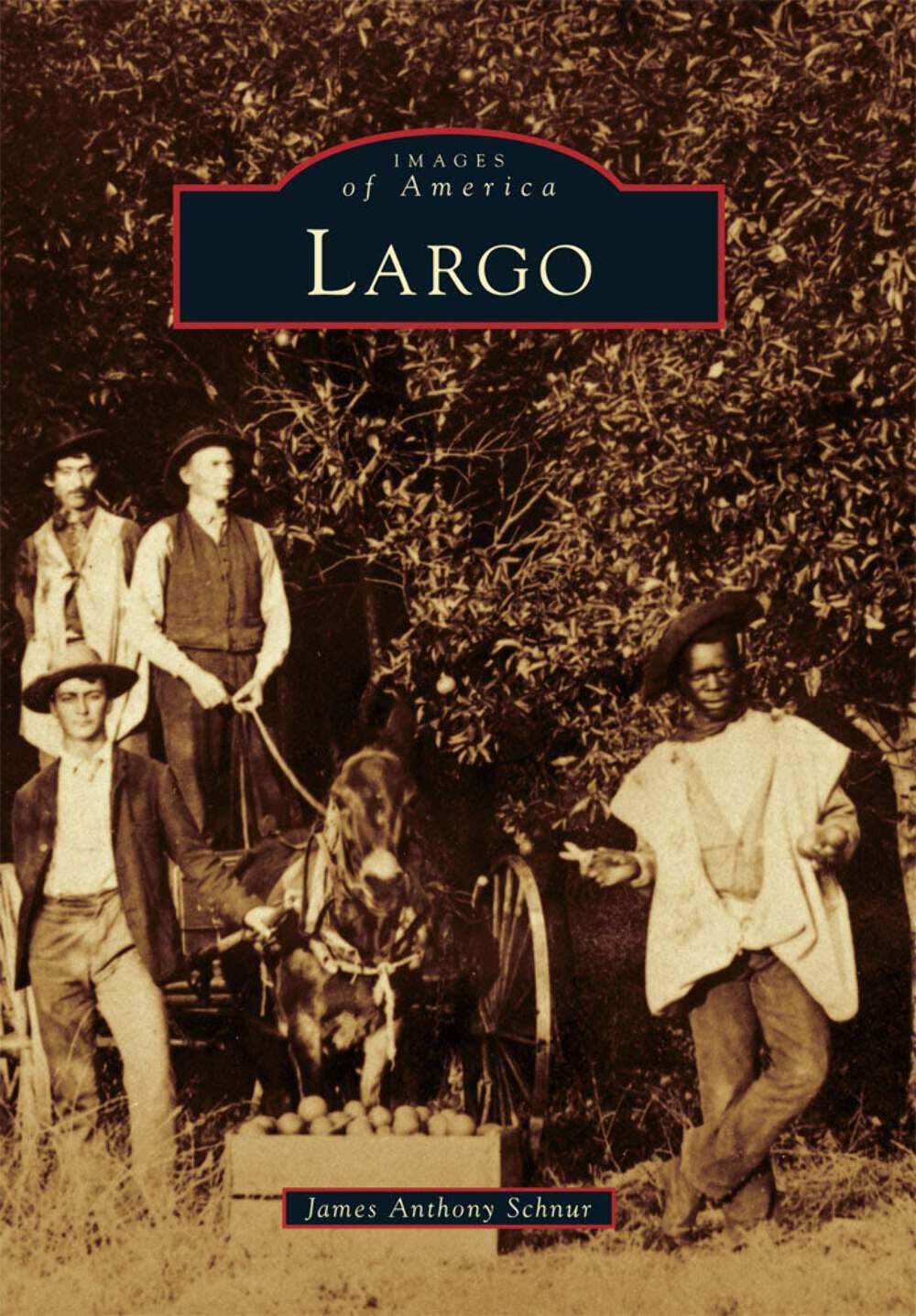 NEW Arcadia Publishing Largo, FL 9780738582214 Images of America Trade Paperback