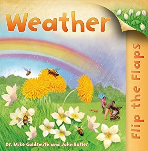 Flip the Flaps: Weather Paperback Mike Goldsmith