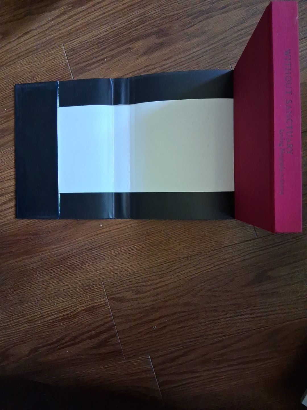 Without Sanctuary: Lynching Photography In America by James Allen, (2003). ÷