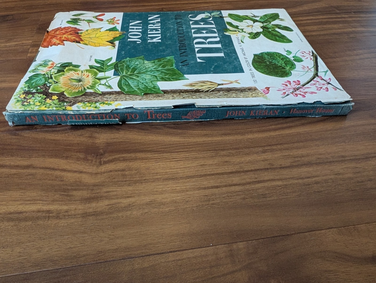 An Introduction To Trees by John Kieran 100 Trees In Color 1954 1ST EDITION