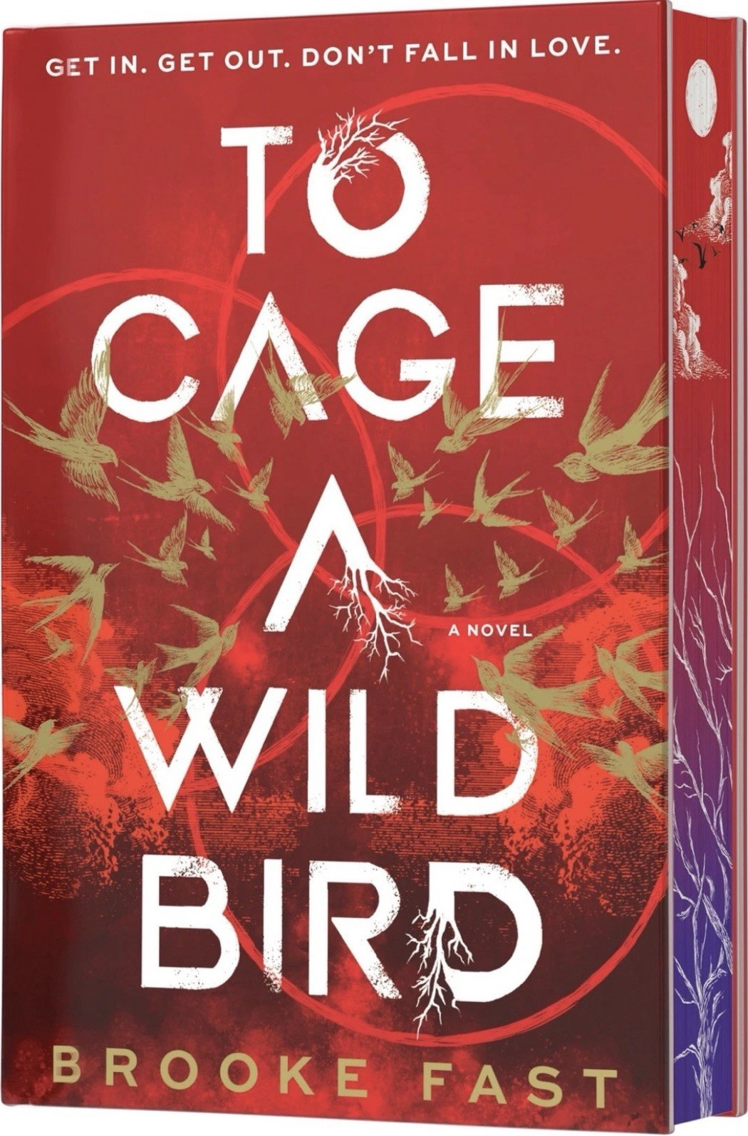 To Cage a Wild Bird by Brooke Fast Hardcover Romance Fiction Novel (English)