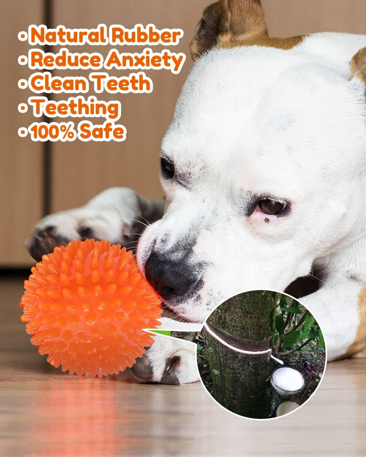 2 Pack 4.5in Pweituoet Heavy Duty Squeaky Dog Ball