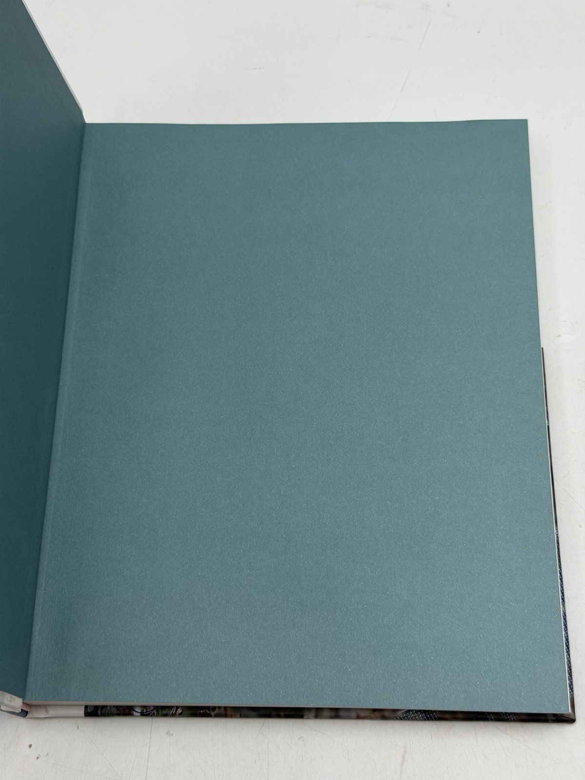 Robert Irwin, Site Determined, HC, Exhibition Catalog, Sculpture, Art, 2018