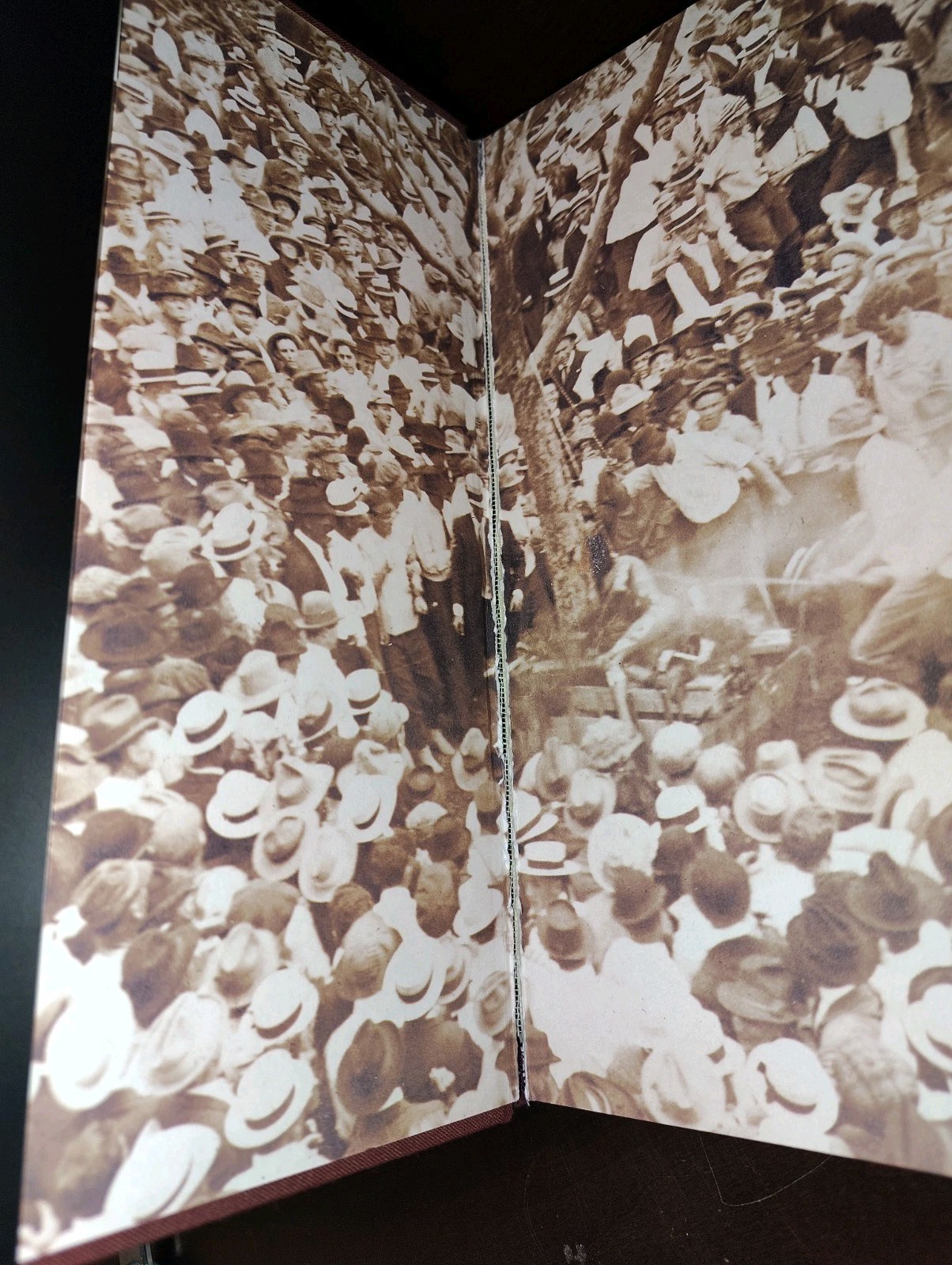 Without Sanctuary: Lynching Photography In America by James Allen, et al. (2000)