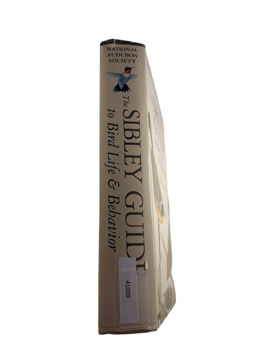 Sibley Guide to Bird Life & Behavior David Allen Sibley 2001 First Edition Knopf