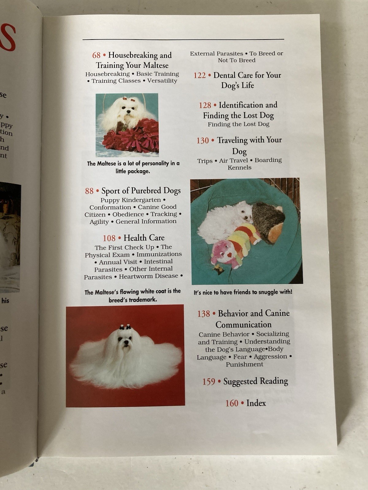 A New Owner’s Guide to Maltese by Vicki Abbott Hardcover Book