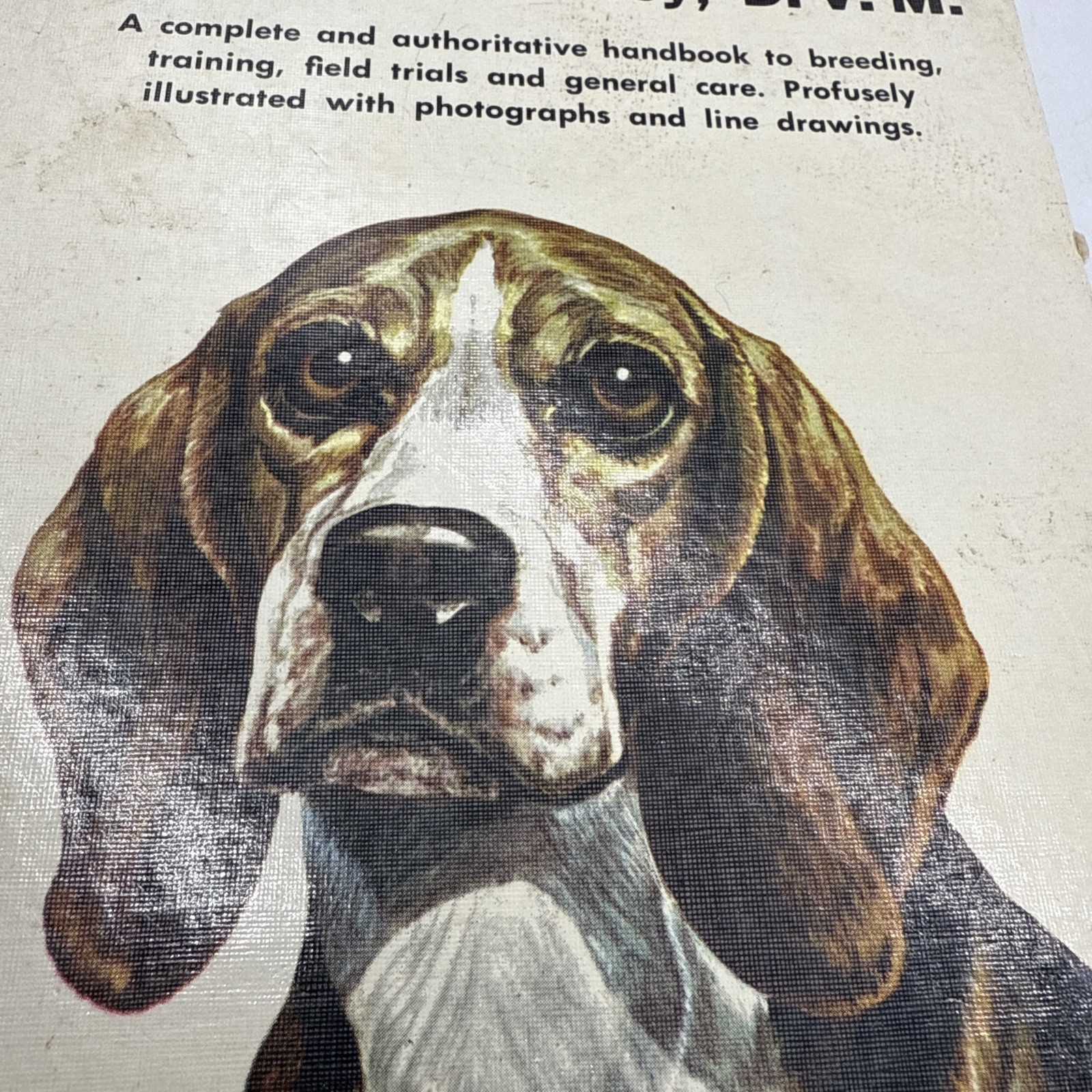 This Is The Beagle By George D. Whitney DVM 1955 Hardback 252 Pages