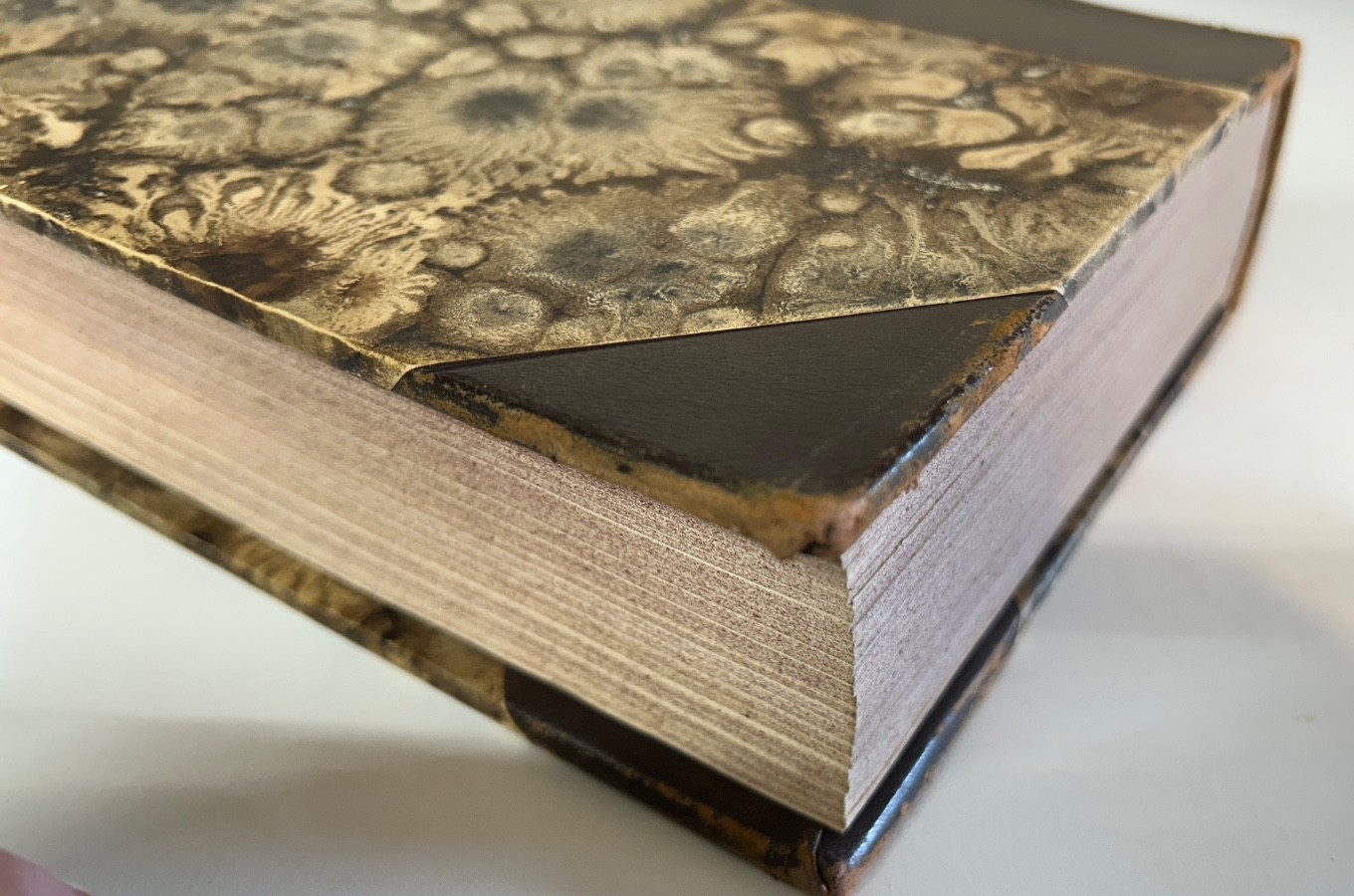 FREM Book 828 pages, 1925