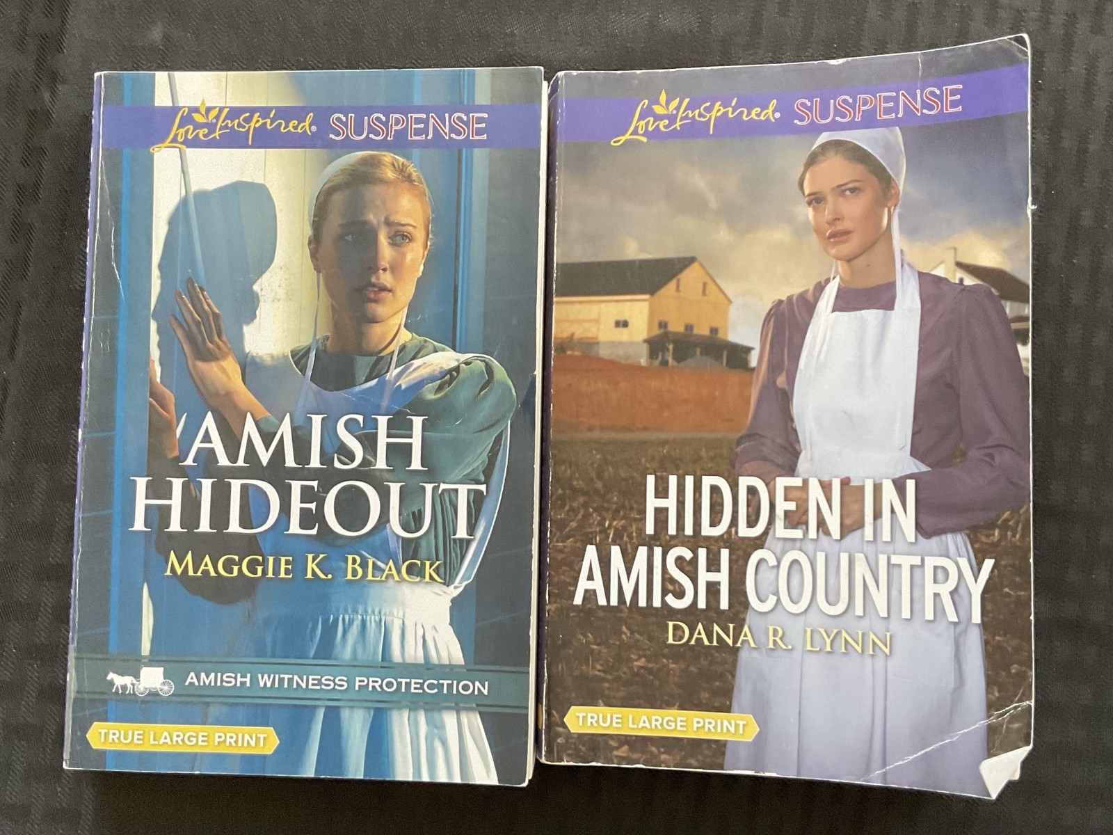 Amish Hideout Maggie K. Black Hidden in Amish Country Dana R. Lynn Large Print