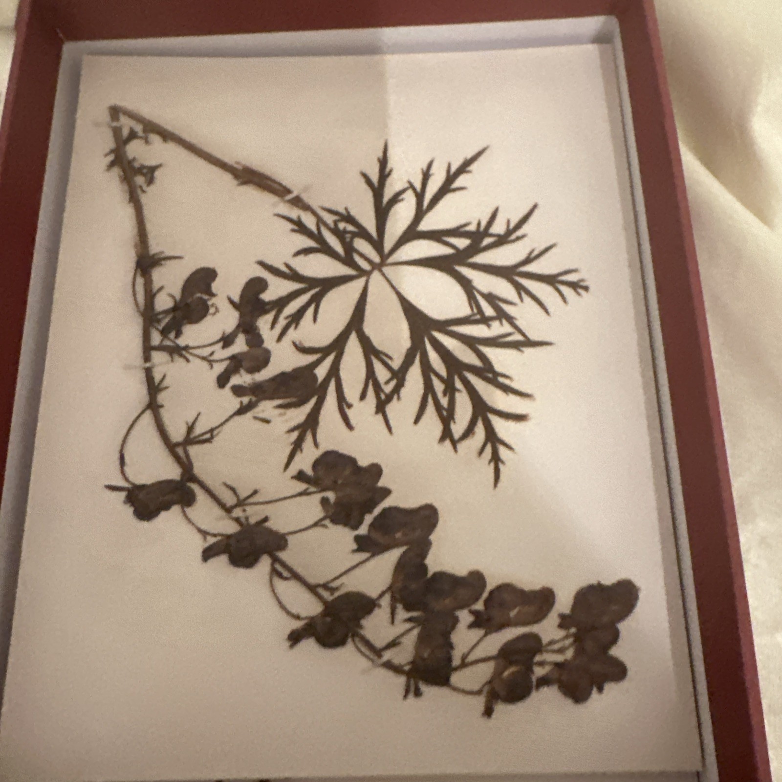 Herbaria: Pressed Plant Collection of Beatrix Farrand: 11 Notecards & Envelopes.