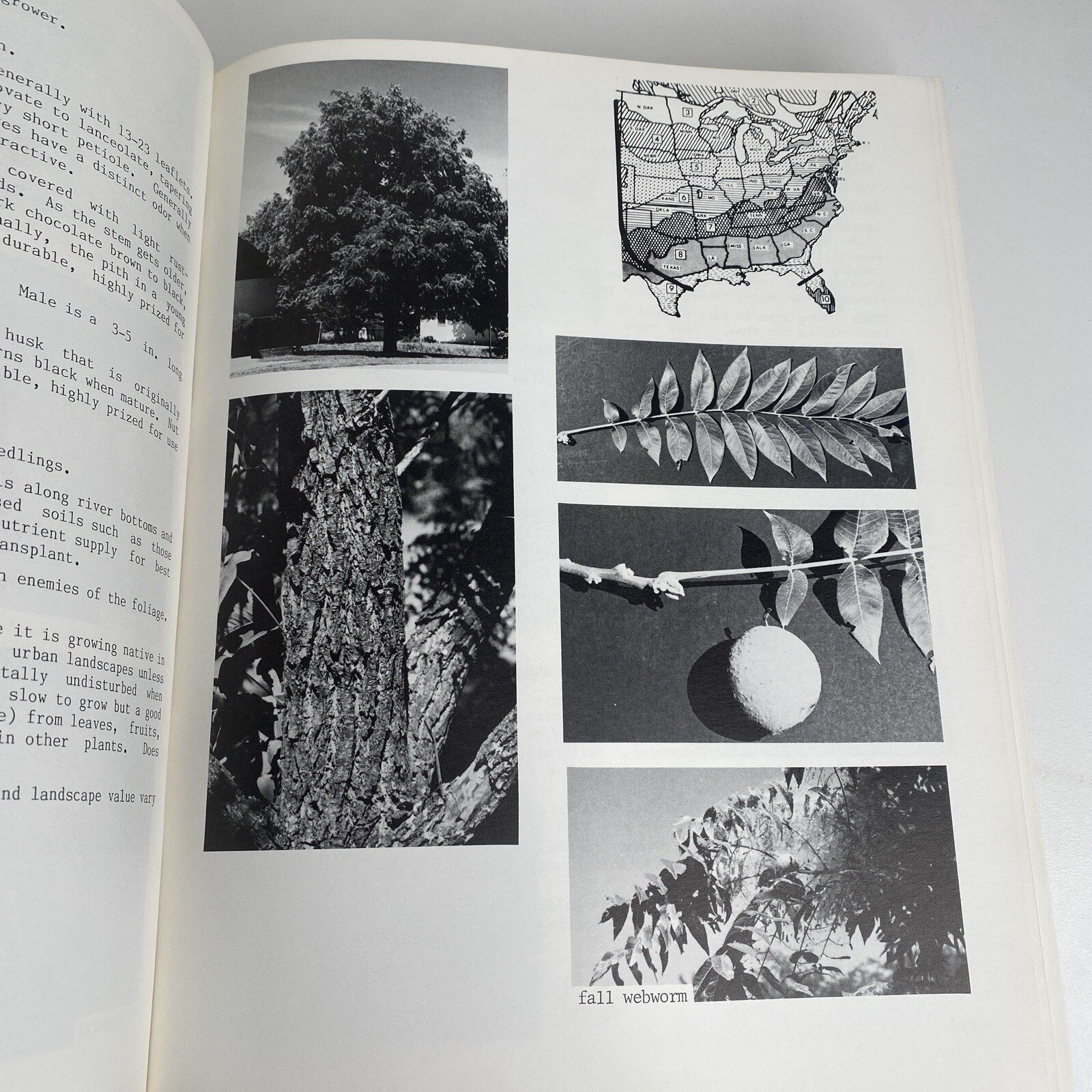 Know It & Grow It Guide II Identification and Use of Landscape Plants 720 Pages