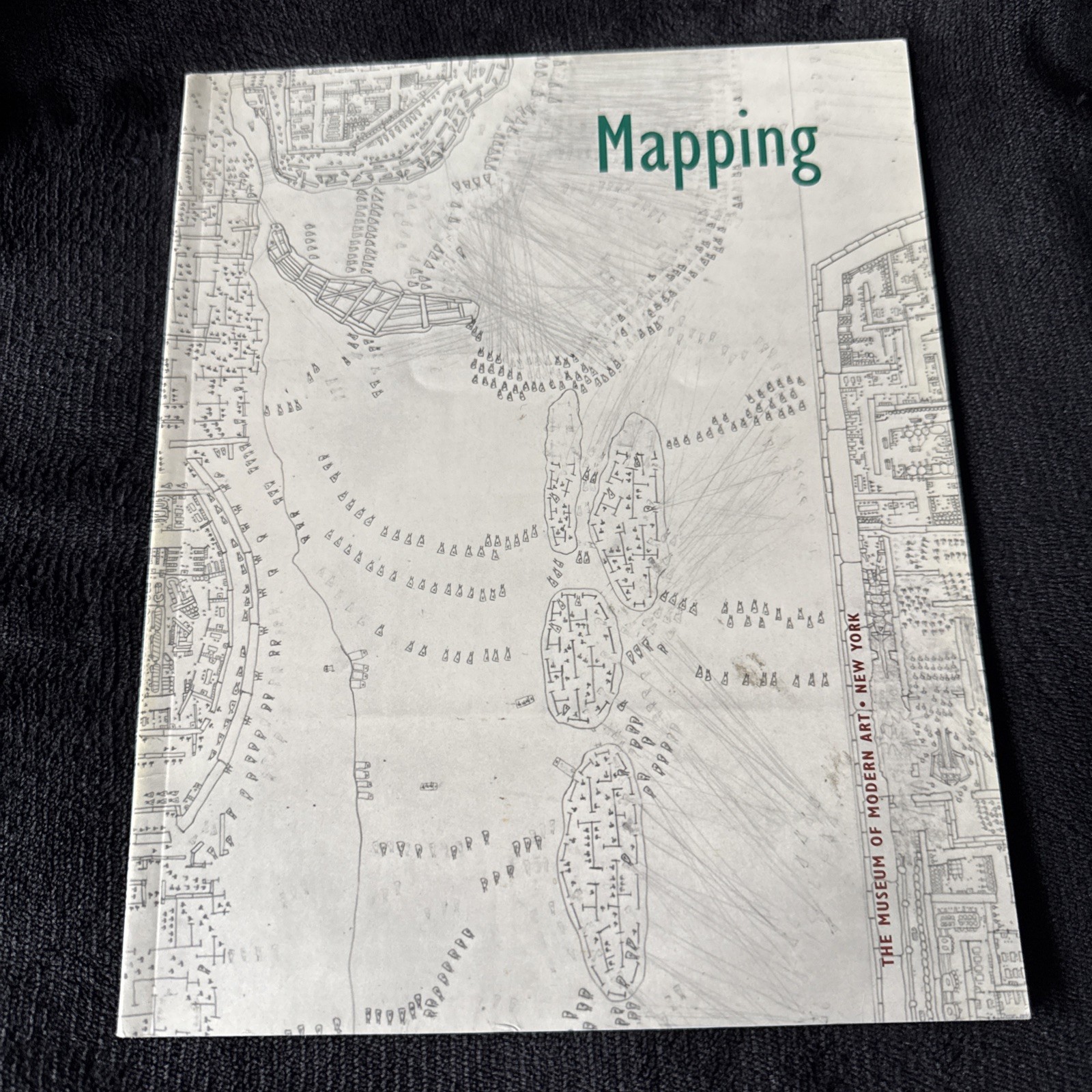 Mapping ROBERT STORR Museum of Modern Art 1994