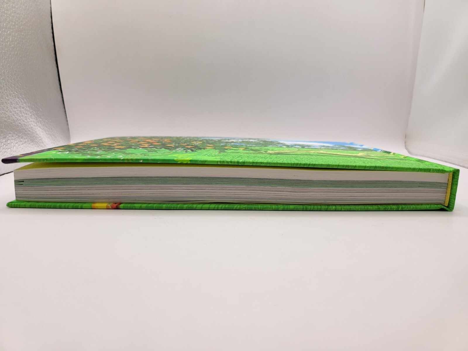 David Hockney Exhibition Official Catalogue 248 pages July 2023 Art Book Tokyo