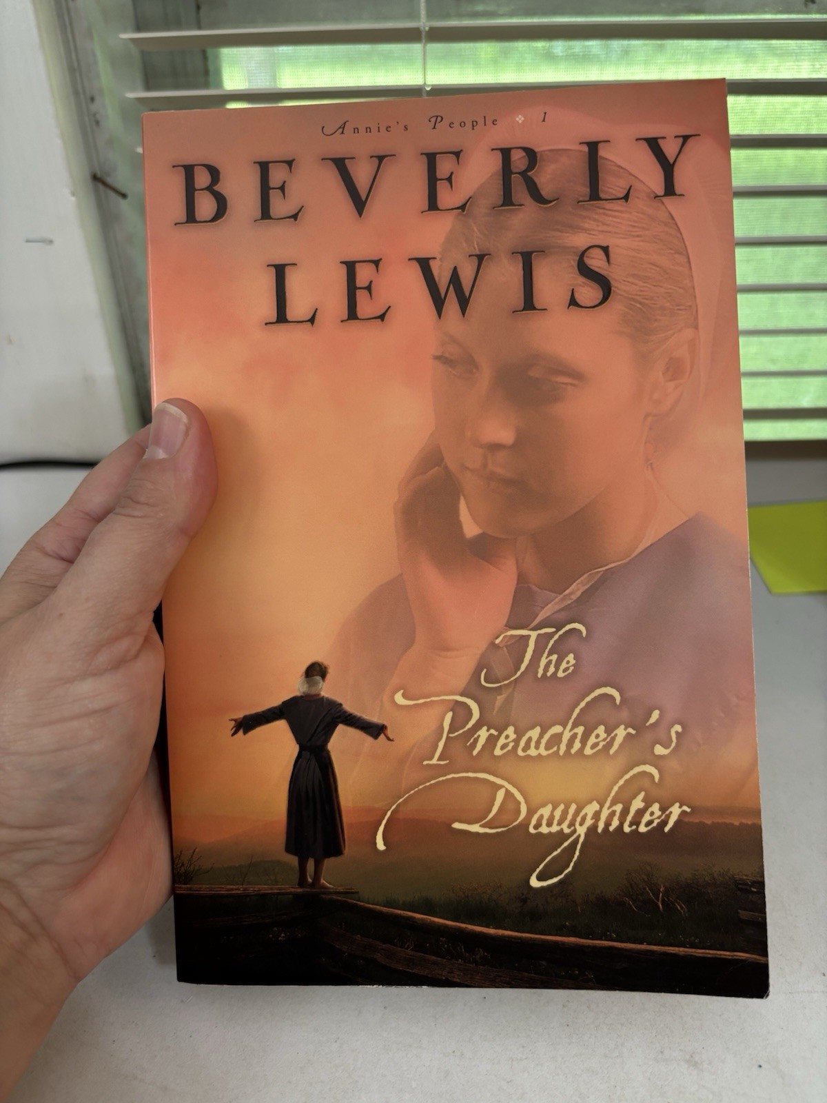 Beverly Lewis – Complete Annie’s People Series – Free Shipping