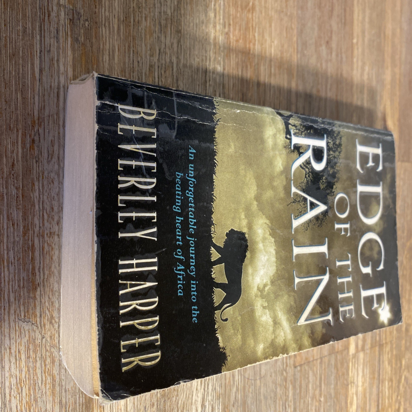 Edge of the Rain by Beverley Harper