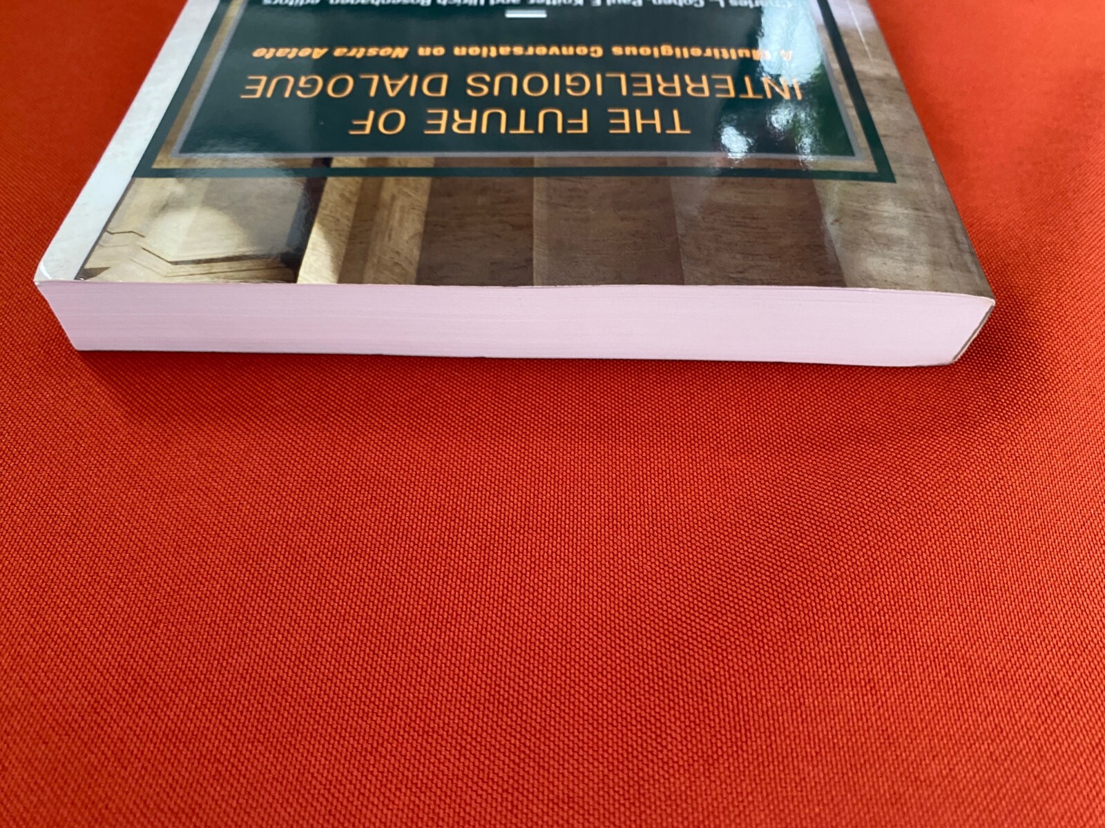 The Future of Interreligious Dialogue (2017) – Orbis Books pbk. – Very Good