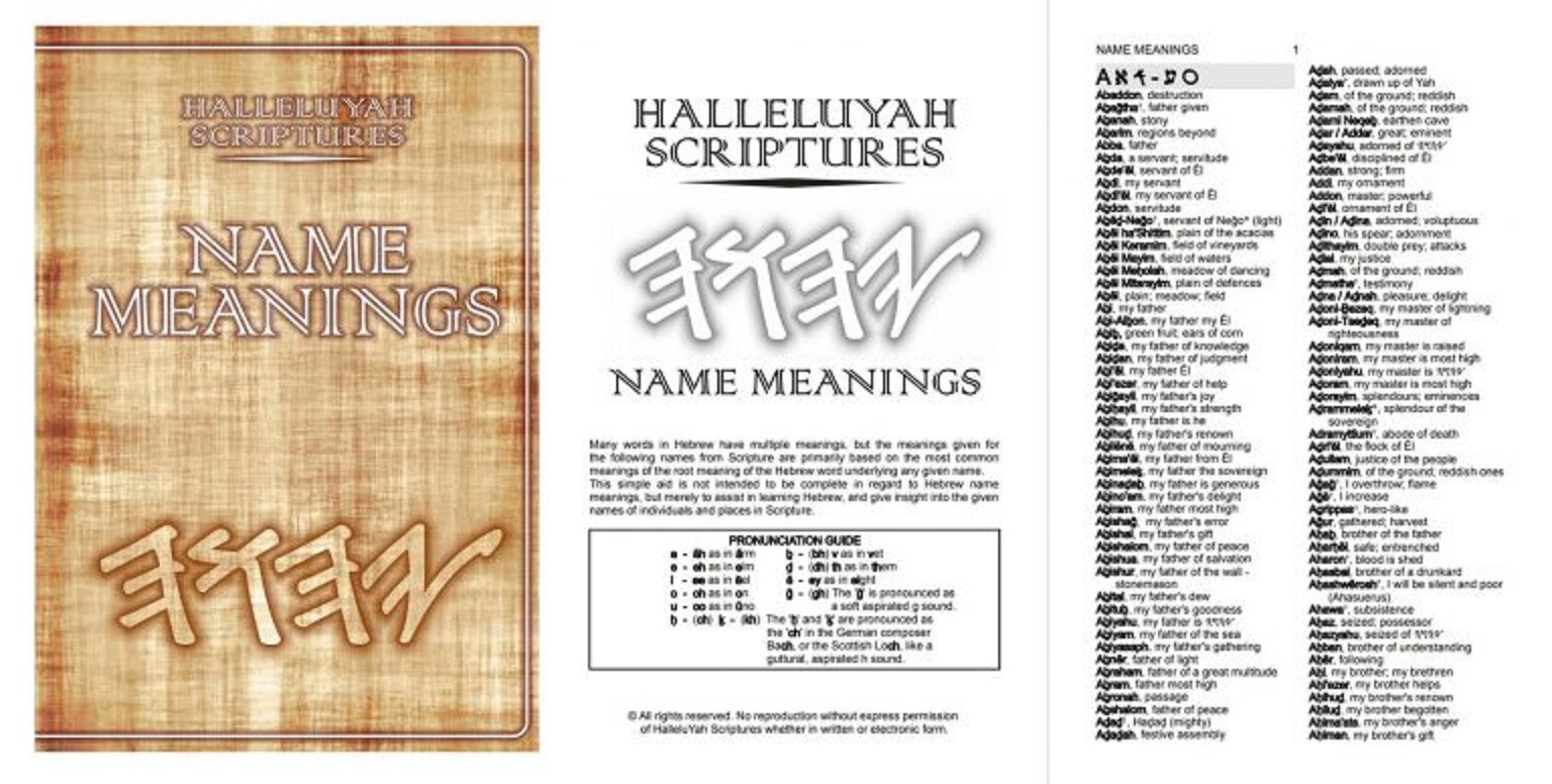 HALLELUYAH SCRIPTURES STANDARD BILE With Free Book & Free Shipping