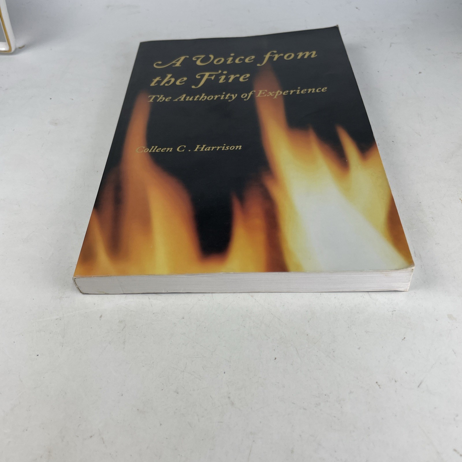 A Voice From The Fire: The Authority of Experience by Harrison, Colleen C., 2002