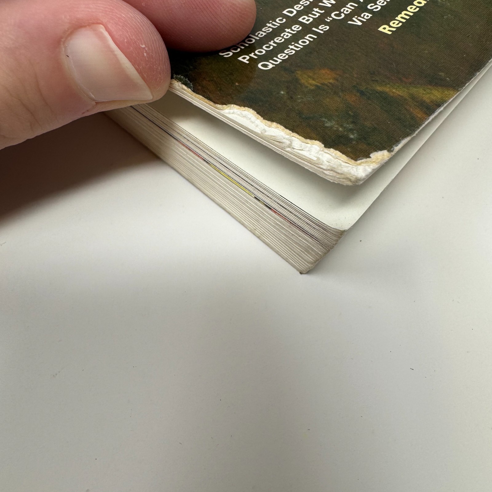 Malicious Resplendence: Paperback By Robt. Williams & Trading Card Set
