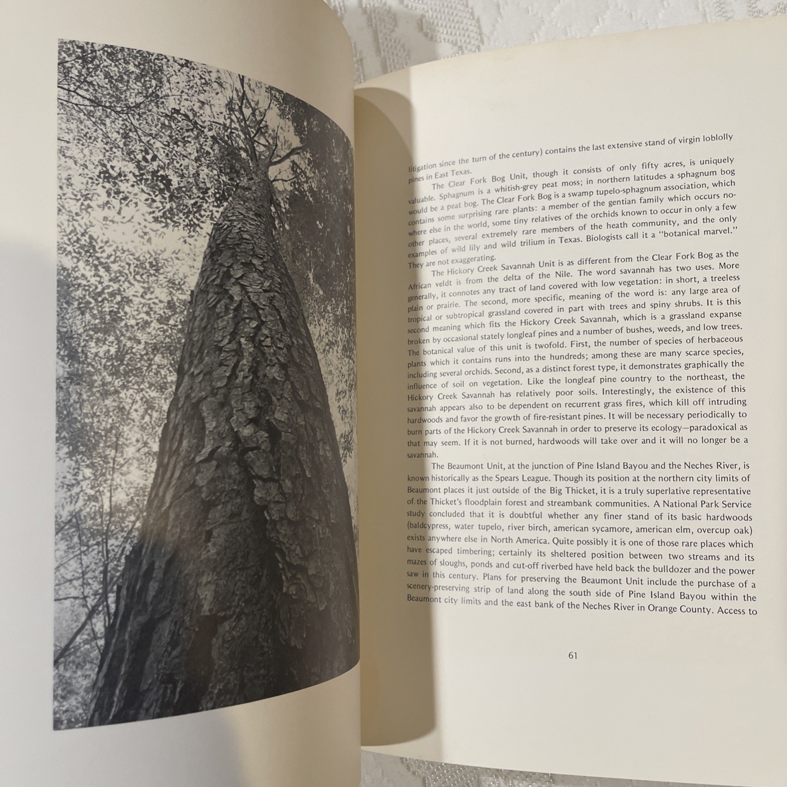 The Big Thicket: A Challenge for Conservation by A. Y. Gunter