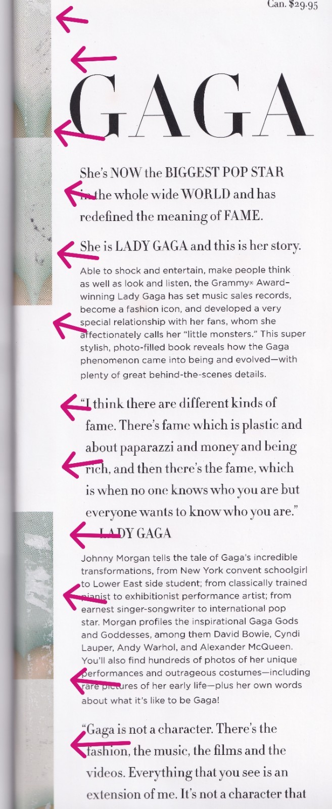 Johnny Morgan Gaga 2010 Book Hardcover 160 Pages *PLEASE READ*